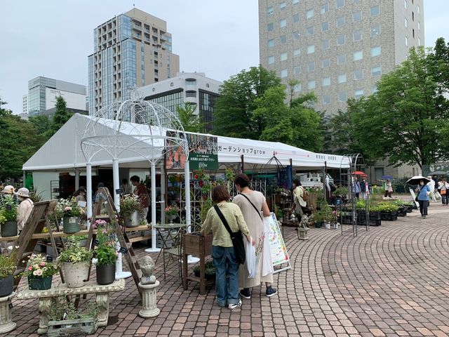 札幌　札幌観光　今がベストシーズン！初夏の札幌　花フェスタ！