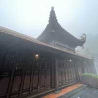 Discover the buddha path in the mist