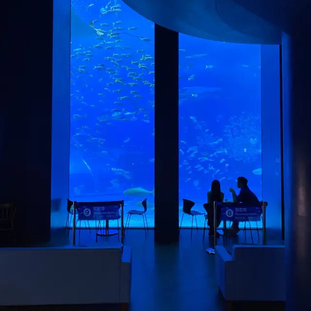 Okinawa Churaumi Aquarium Cafe "Ocean Blue" - seats where you can dine while watching the whale sharks are very popular