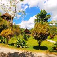 Amazing our jungle house 