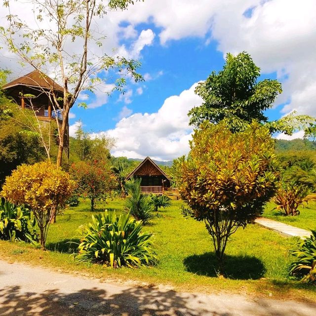 Amazing our jungle house 