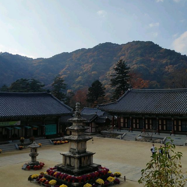 천년의 역사가 깃든 합천 해인사