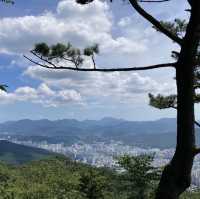 ［釜山］一小時來回快閃登山～金剛山纜車之旅
