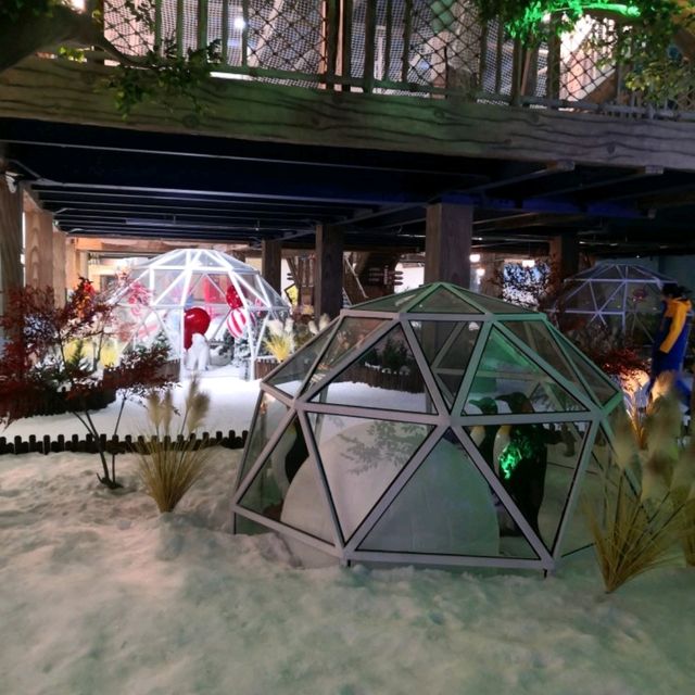 深圳觀瀾都有得玩雪 卡魯冰雪世界