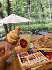 上高地 ｜大排長龍信州蘋果美食店