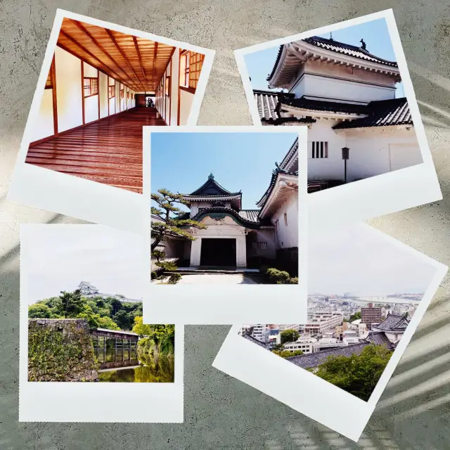 🏰⚔️🌸追尋歷史足跡️🌸和歌山城公園🏰⚔️🌸