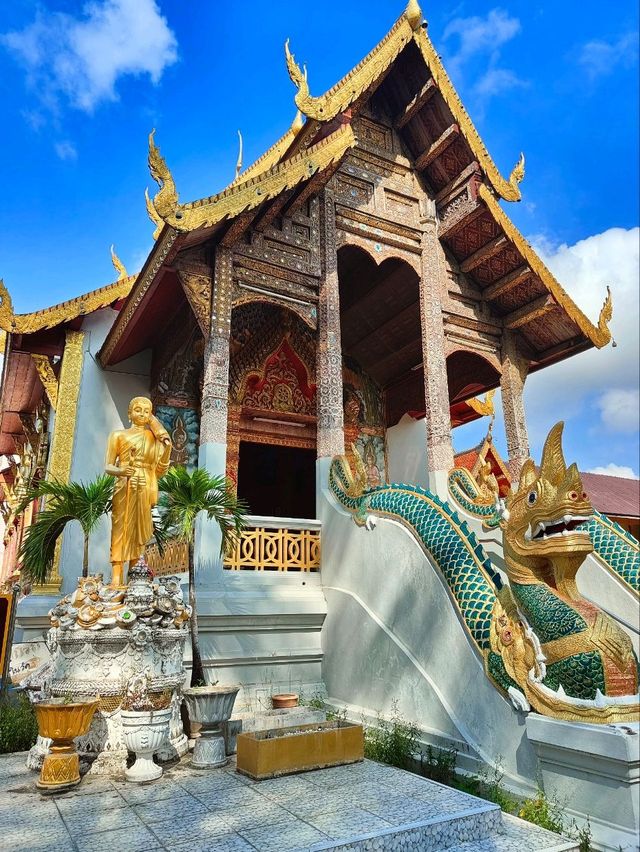 Wat tung yu🙏🏼