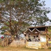 ฮักเมืองคอง คาเฟ่ | คาเฟ่เชียงใหม่