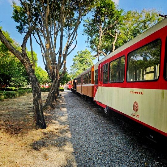 Alishan Forest Railway Garage Park