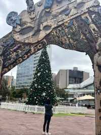 Christmas Decoration Hunting in Auckland