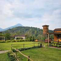 Rustic Market