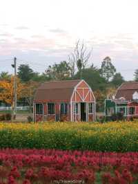 Bliss & Bloom Cafe ทับลาน