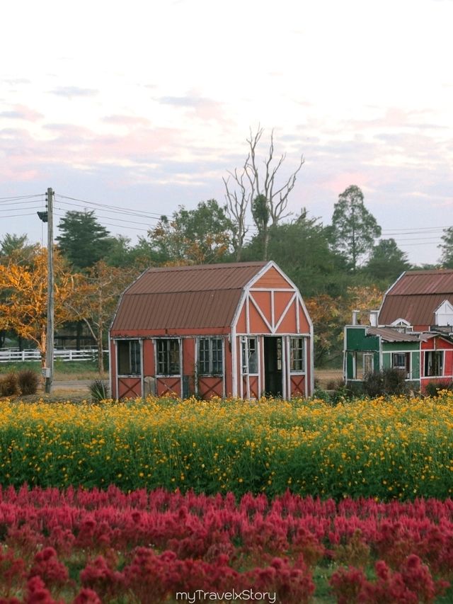 Bliss & Bloom Cafe ทับลาน