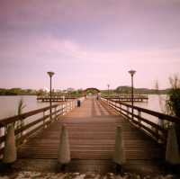 Calm Waters at Lower Seletar Reservoir Park