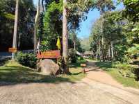 สายม่านหมอกน้ำตก @น้ำตกหมอกฟ้า 🌴🌴