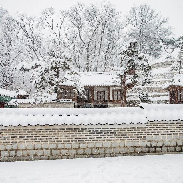 The Beauty of Changdeokgung palace in Winter 