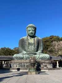 【神奈川県】鎌倉観光で外せない「高徳院・鎌倉大仏」