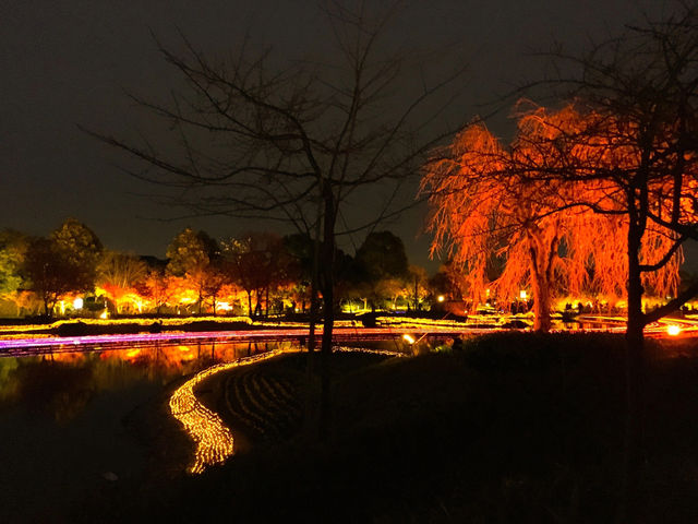 Jewellumination at Nabana no Sato