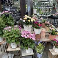 植物園！？素敵すぎる園芸ショップ！