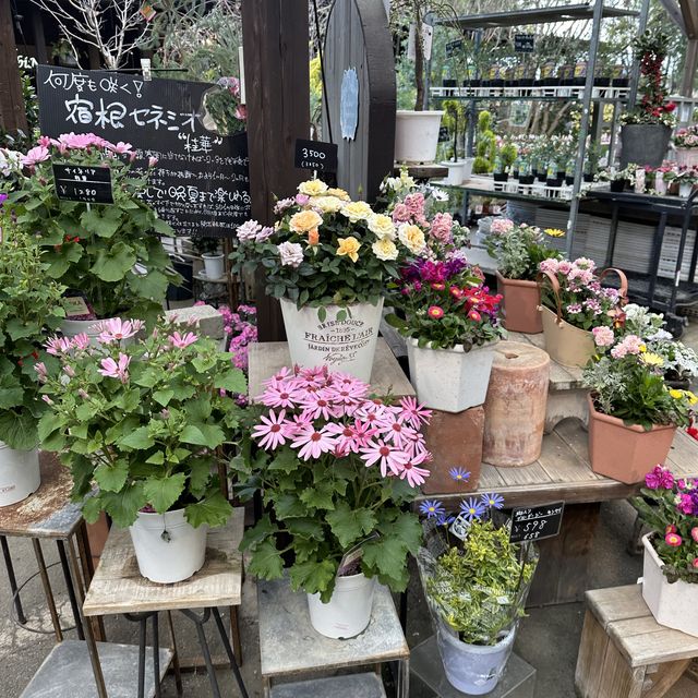植物園！？素敵すぎる園芸ショップ！