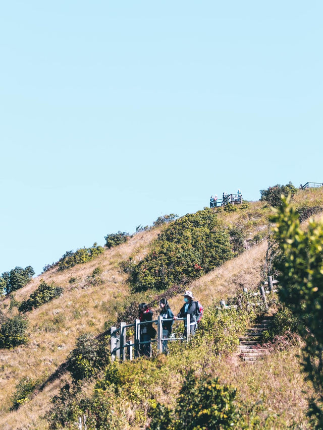 ดอยอินทนนท์ ⛰️🌲🌳🌱