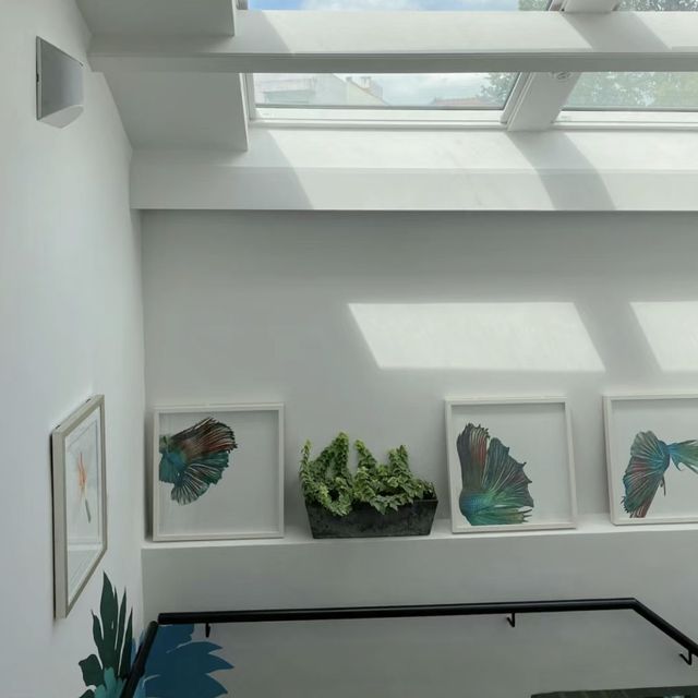 KESA HOUSE：星空房，放鬆身心