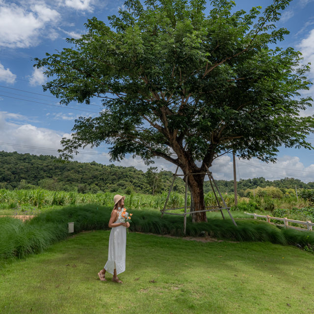 ที่พักเขาใหญ่สไตล์มินิมอล น่ารัก คลุมโทน 🌳