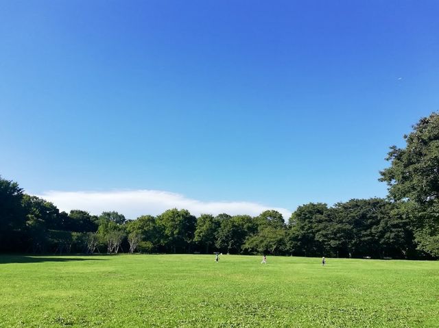 Aobanomori Park