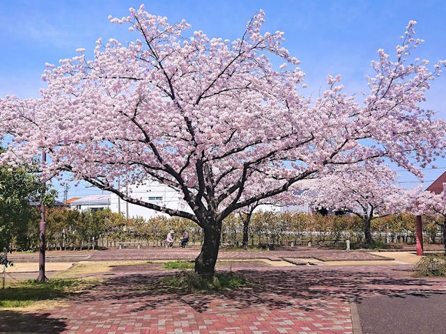 Horioseki Park 