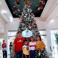 Celebrating Christmas Apo View "Family Treat"