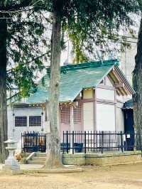【中野天祖神社/東京都】大きな木がたくさん並ぶ神社