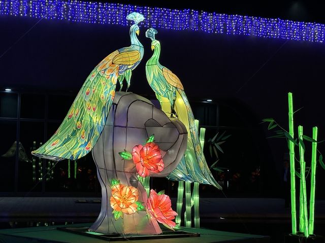 香港好去處 | 香港單車館公園 | 甲辰年元宵綵燈會
