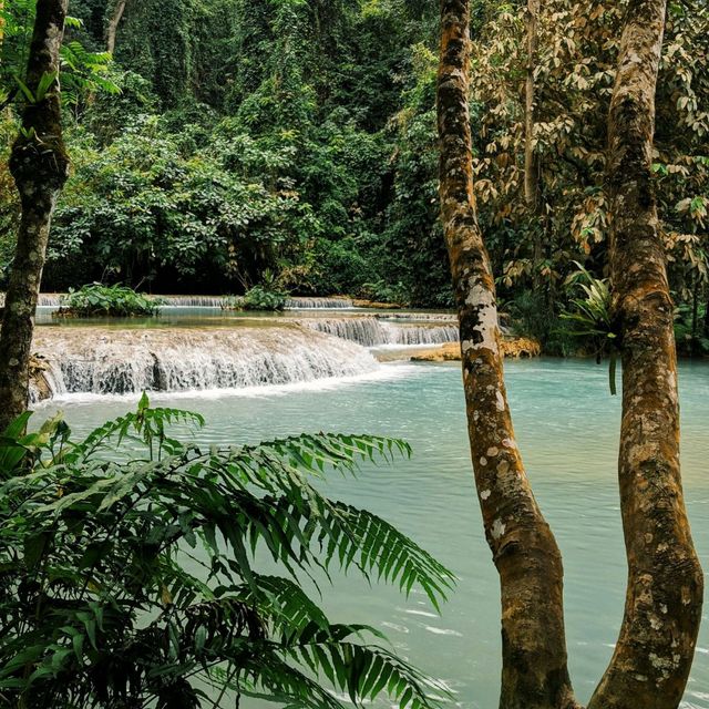 Immerse Yourself in Luang Prabang's beauty