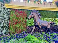 Dubai Miracle Garden