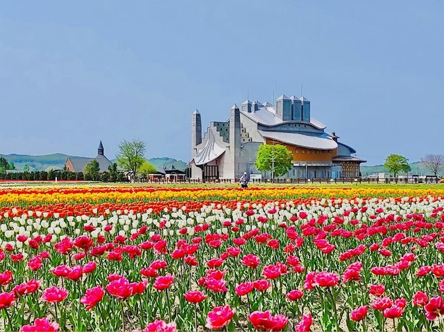 Kamiyubetsu Tulip Park 