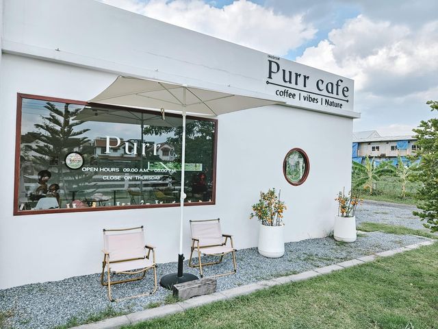 Purrcafebkk แจ้งวัฒนะ 14