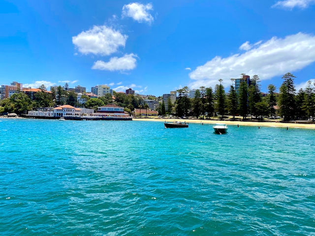 Manly Beach