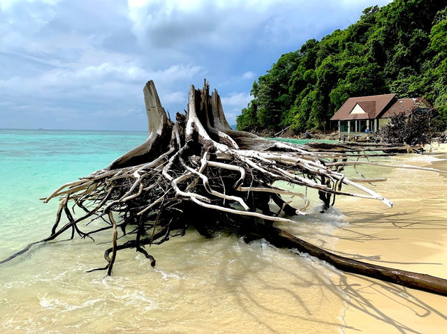 Bamboo Beach