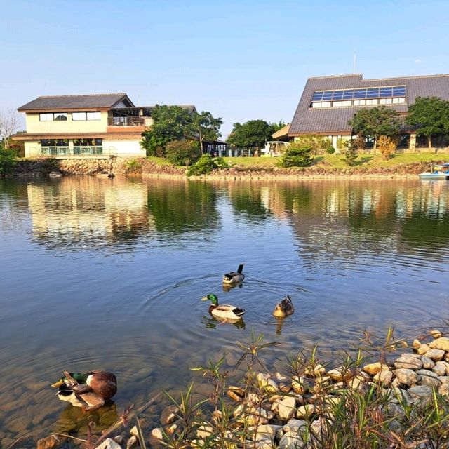 宜蘭綠舞日式主題園區，彷彿飛到日本渡假✨️