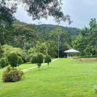 Tranquility at Penang Botanic Gardens 