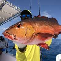 Best Sport fishing adventures in Maldives 