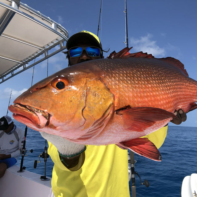 Best Sport fishing adventures in Maldives 