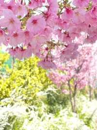 【馬場子育稲荷神社/東京都】子どもの健全な育成を願うと思われる
