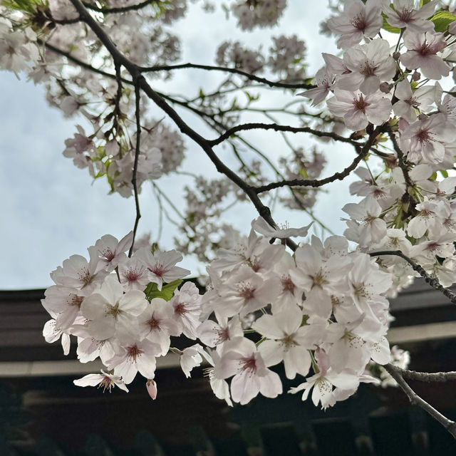 【愛知】うさぎモチーフがかわいい神社🐇三輪神社