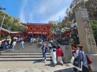 🌸【京都八阪神社⛩️】櫻花季限定優惠，春日必遊景點！