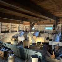 네덜란드 전통 치즈의 모든 것, Catharina Hoeve🧀
