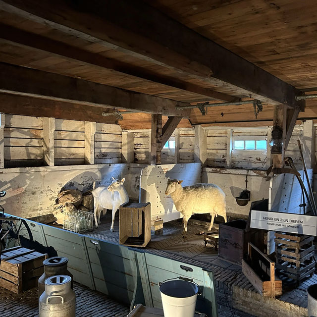 네덜란드 전통 치즈의 모든 것, Catharina Hoeve🧀