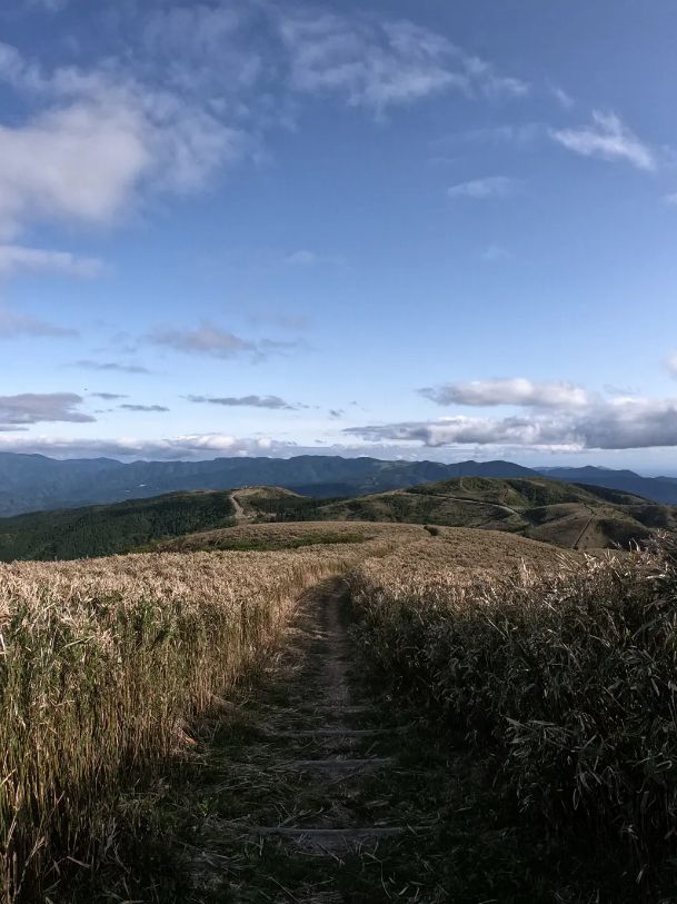 静岡の隠れた名所　達磨山ハイキングコース