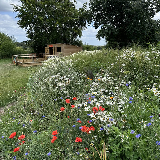 Family farm in London