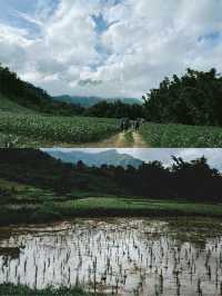 ตามหาน้ำตกรูปหัวใจ